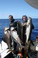 Pesca 120